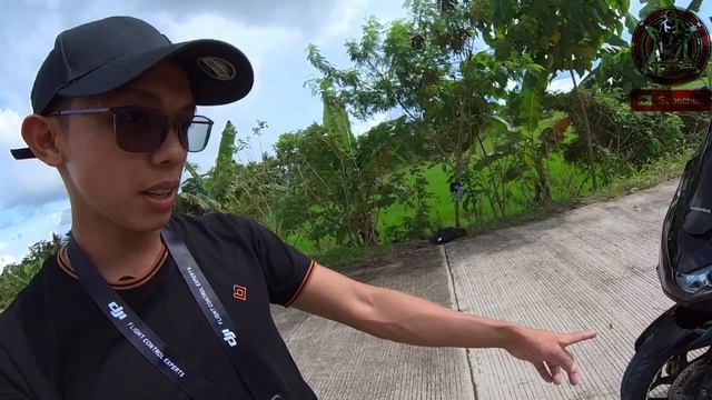 Honda PCX 160 Simple Set Up - NFranco Motovlog смотреть онлайн