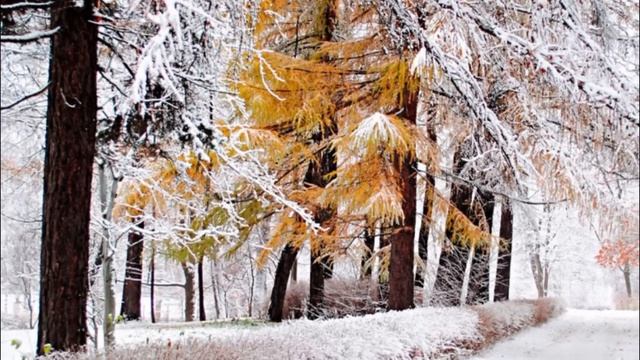 После двухлетней комы, Алиса пришла в ресторан и увидев, кто сидит за столом, потеряла сознание. смотреть онлайн