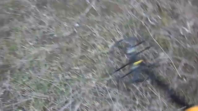 Брожу с НЕЛ Торнадо и АСЕ 250. 17 янв.13 смотреть онлайн
