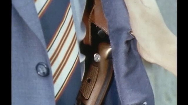 太陽にほえろ！ 第173話 一発で射殺せよ！