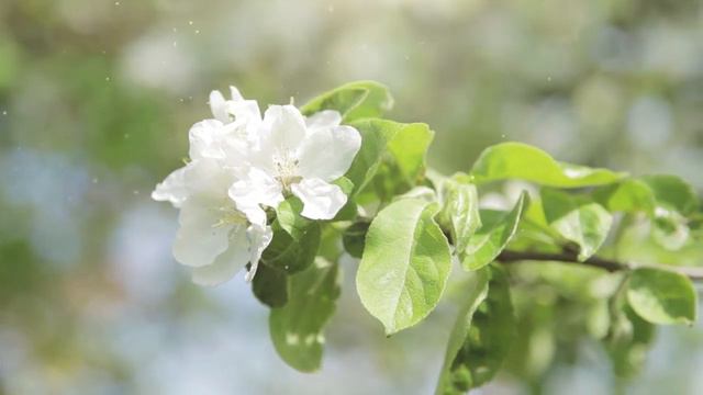 КУДА УХОДИТ ДЕТСТВО... смотреть онлайн