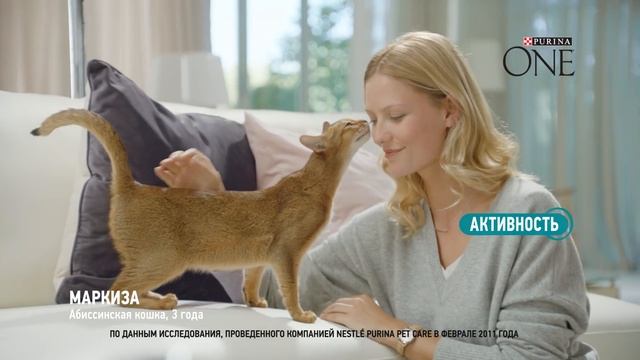 Новая формула. Purina ONE® Bifensis смотреть онлайн