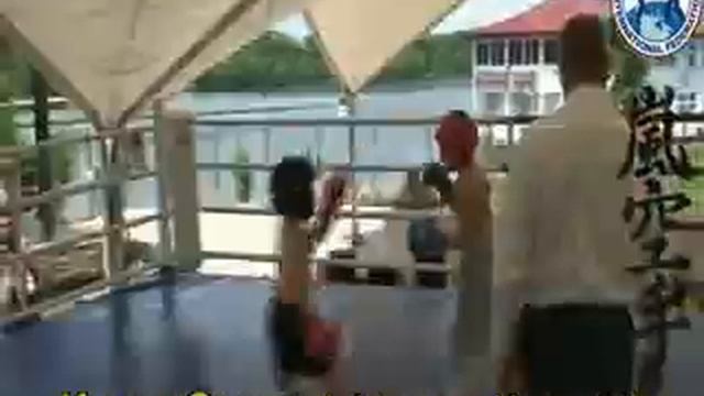 Спортсмены Араши Карате смотреть онлайн