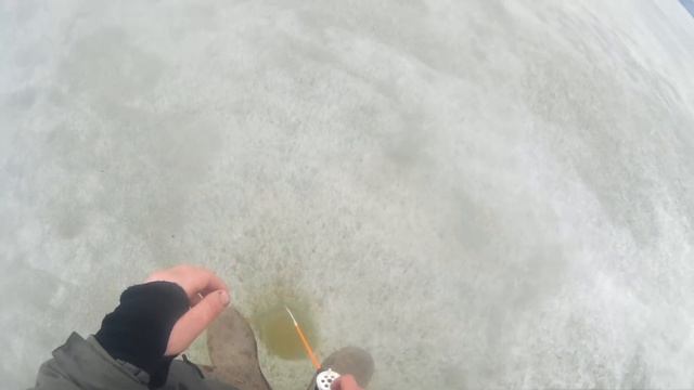 Поклёвки Окуня/Жор/закрытие сезона/испытание экшен камеры AC-1080w смотреть онлайн