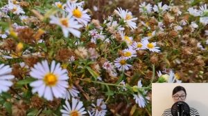 Вдовец-миллионер нанял сиделкой бывшую зечку. Но когда он пришёл вечером домой, то оторопел...