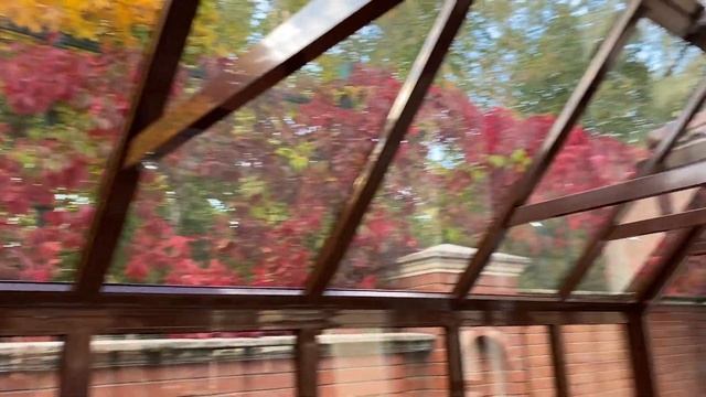 Теплица Эвелин 3x4 с дополнительным фронтоном - 174 смотреть онлайн