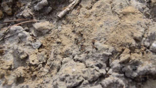 Загадочные символы