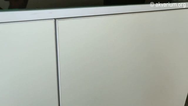 Морской аквариум 176 литров в стиле Ada смотреть онлайн