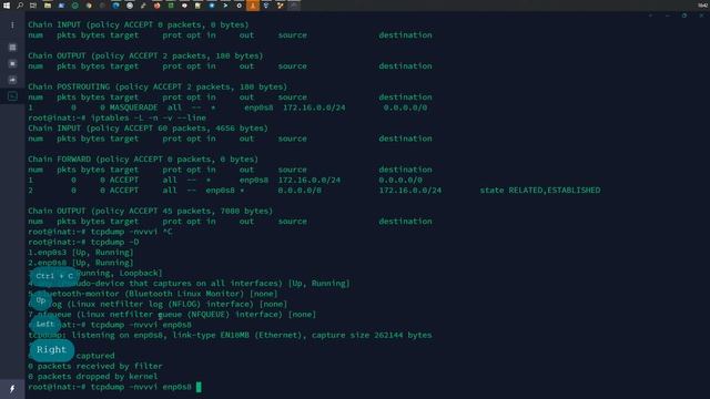 LFCE | Настройка NAT в Iptables | Ubuntu 20.04.1 LTS (Focal Fossa)