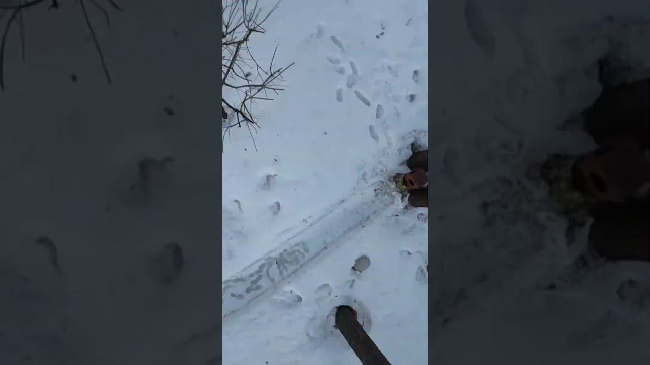 18 февраля 2024 г. смотреть онлайн