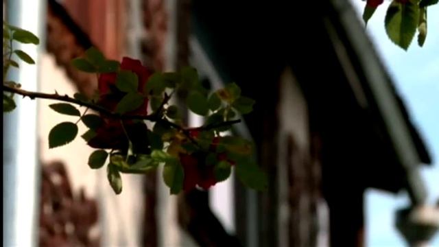 Дачный эксклюзив 7 смотреть онлайн