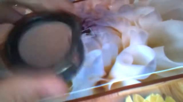 Проект как я сделал колонки смотреть онлайн