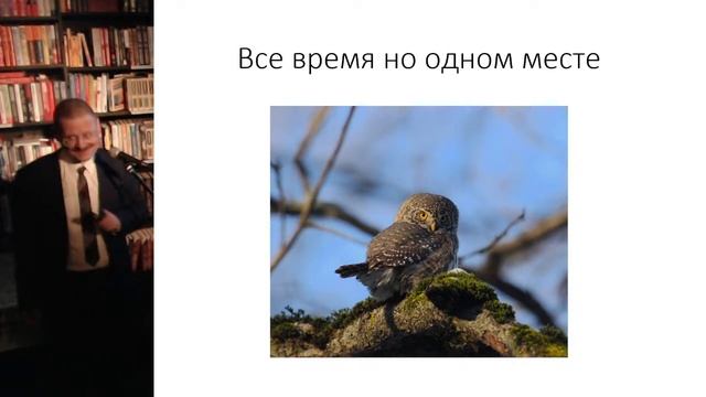 "Птицы большого города". "Гиперион", 07.09.21 смотреть онлайн