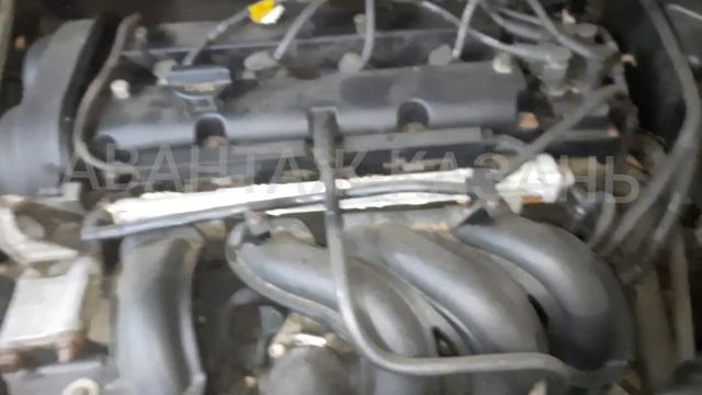 Работа двс 1.6 Hwda/shda Ford Focus 2 смотреть онлайн