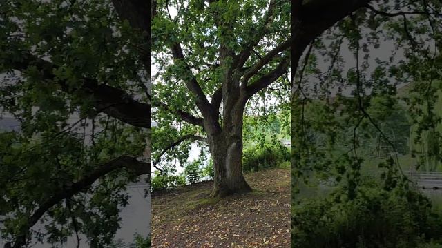 Интересный немецкий город Киль на балтийском море, земля Schleswig Holstein