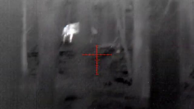 ATN Thor4 640 deer hunt смотреть онлайн