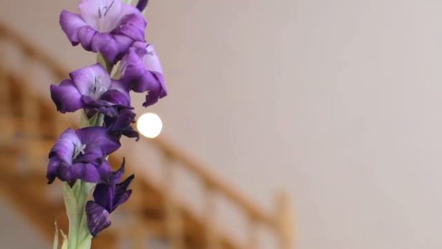 Отель Крым. «Юрмино» - отдых на берегу моря. смотреть онлайн