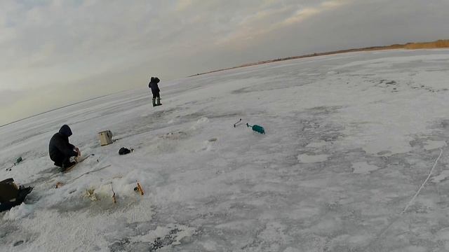 Рыбалка на Карповке