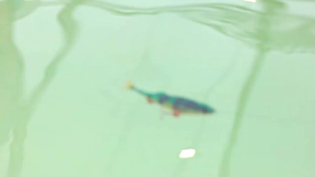 13-я спец. выставка "РЫБОЛОВ.ОХОТНИК" 6-10 марта г. Казань. смотреть онлайн