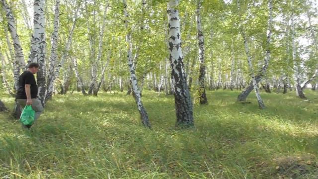 Озеро Долгое сентябрь 2023 смотреть онлайн