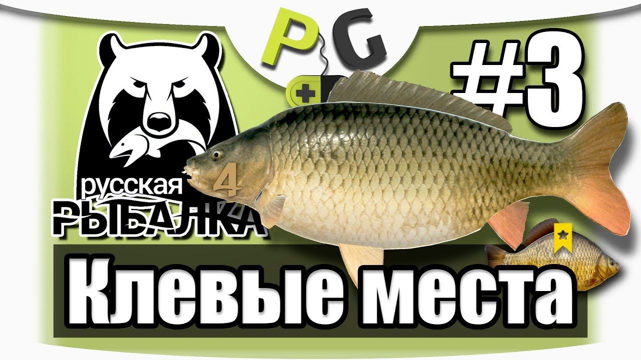 Русская Рыбалка 4 Клевые Места #3 озеро Комариное, Карп и Трофейный карась на Банановый бойл смотреть онлайн