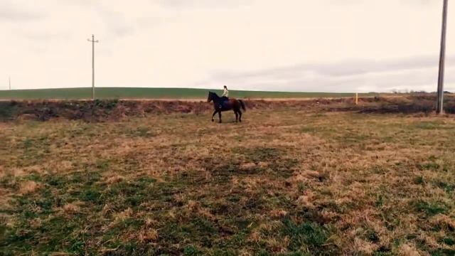 Необычный способ езды верхом на лошади смотреть онлайн