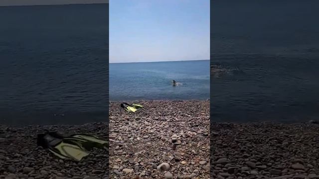 Малый Утриш, Краснодарский край смотреть онлайн