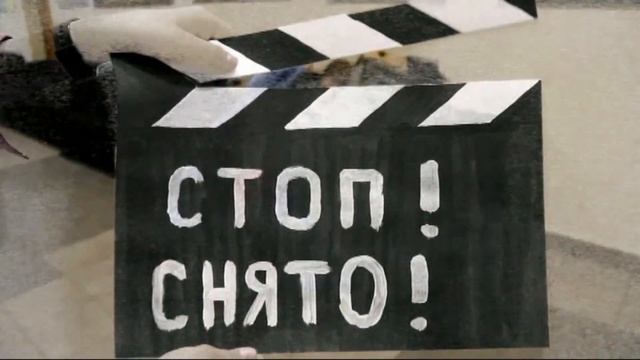 Любимому куратору посвящается смотреть онлайн