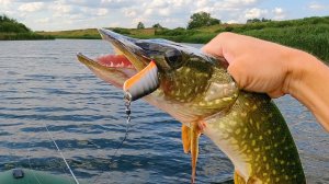 Щука на колеблющиеся блесны. Эти колебалки ловят!