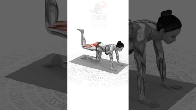 Махи отведения ноги назад на четвереньках/Mahi abducting legs back on all fours смотреть онлайн