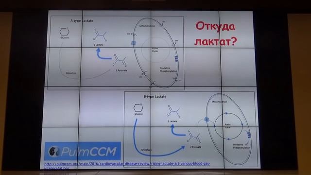 Анализ газов крови Мазурок В А смотреть онлайн