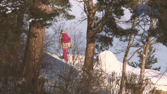 Зима в парке Монрепо смотреть онлайн