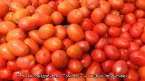 Сухоядение: 4 простых рецепта в самый строгий этап поста