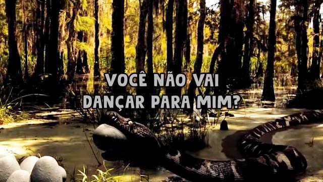 Debbie Gibson - Snake Charmer [Tradução/Legendado] смотреть онлайн