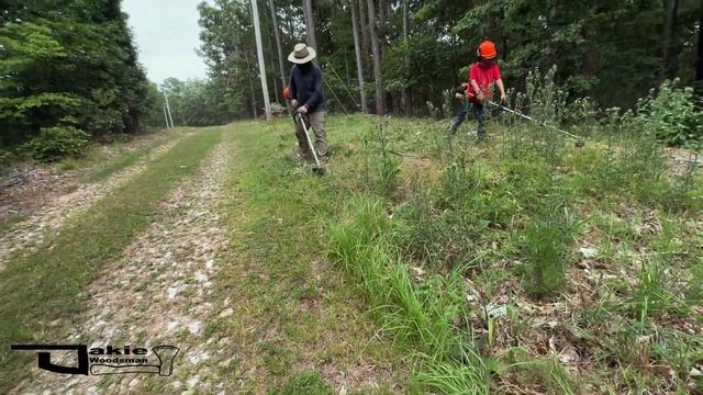 Weed Wacker - Watch Before you Buy - Echo SRM-2620 vs SRM-2320T смотреть онлайн