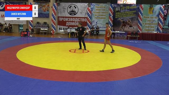 Первенство ПФО по спортивной борьбе (Ковер B) смотреть онлайн