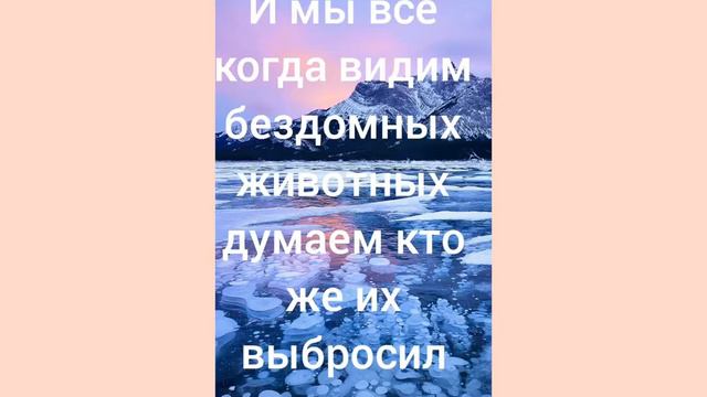 Нужно ли стерилизовать животных смотреть онлайн