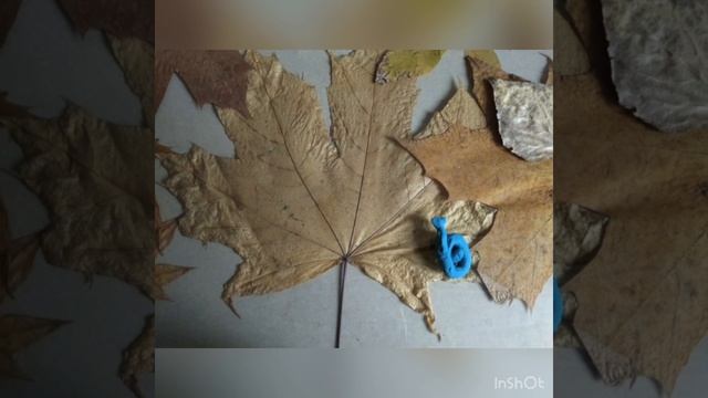 Кружок Мультяшка