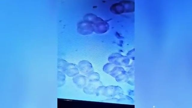 free reister http://zarrazworld.com/members/signup/index.php?referrer=zurich смотреть онлайн