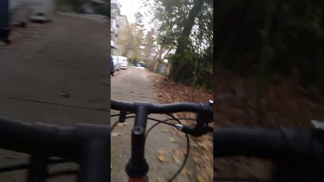 12 ноября 2023 г. смотреть онлайн