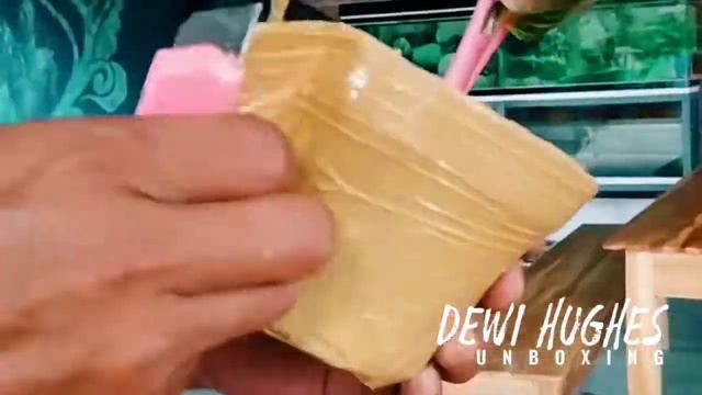 Unboxing Aglonema Online Dewi Hughes Aglaonema Plant Varieties смотреть онлайн