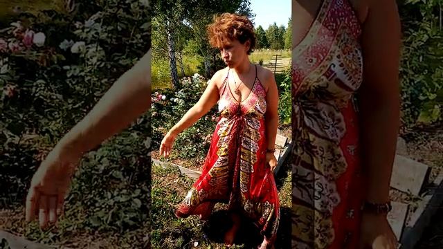В лес с травницей. Лечебные свойства василька смотреть онлайн