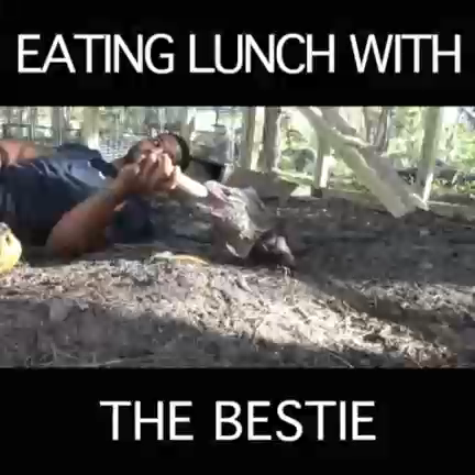 Обед с вараном смотреть онлайн