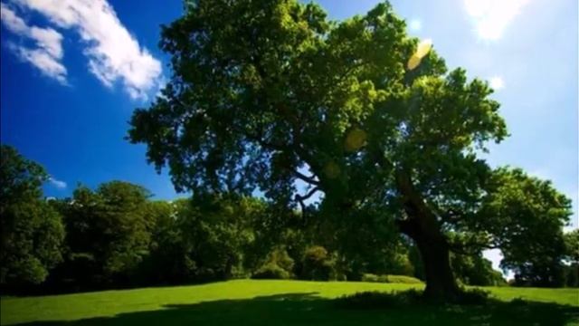 Nicolai Gedda "Выхожу один я на дорогу" смотреть онлайн