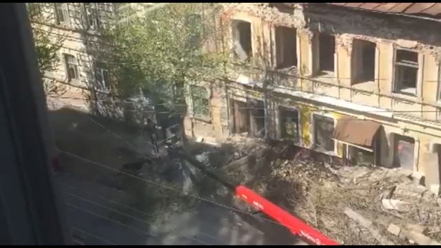 На Радищева спиливают здоровые деревья