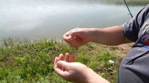 КАК Ловить толстолоба