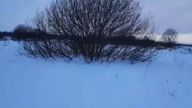 Снегоход прокатился смотреть онлайн