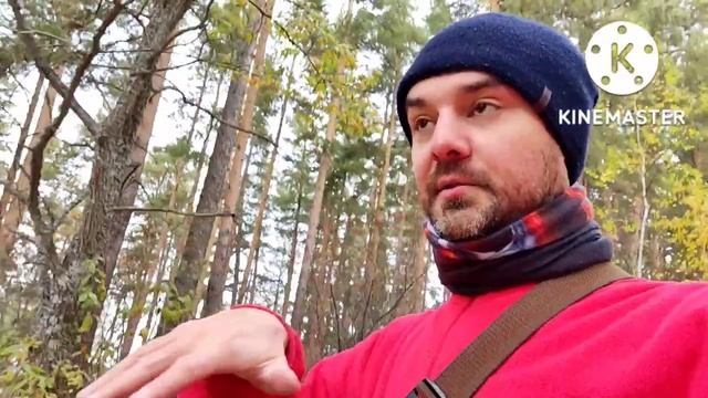 ? BAJAJ DOMINAR. ОСЕННЕЕ ПУТЕШЕСТВИЕ В ГОРЫ 2022