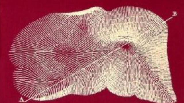 Andy Partridge & Harold Budd - Well For The Sweat Of The Moon смотреть онлайн