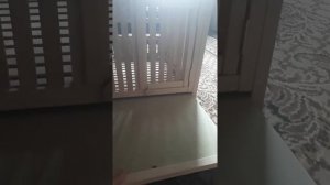 Кеклик Кабк